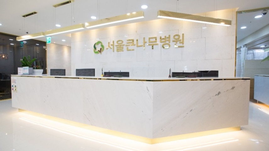 서울큰나무병원 위치 · 진료시간 · 후기 확인하기 | 굿닥